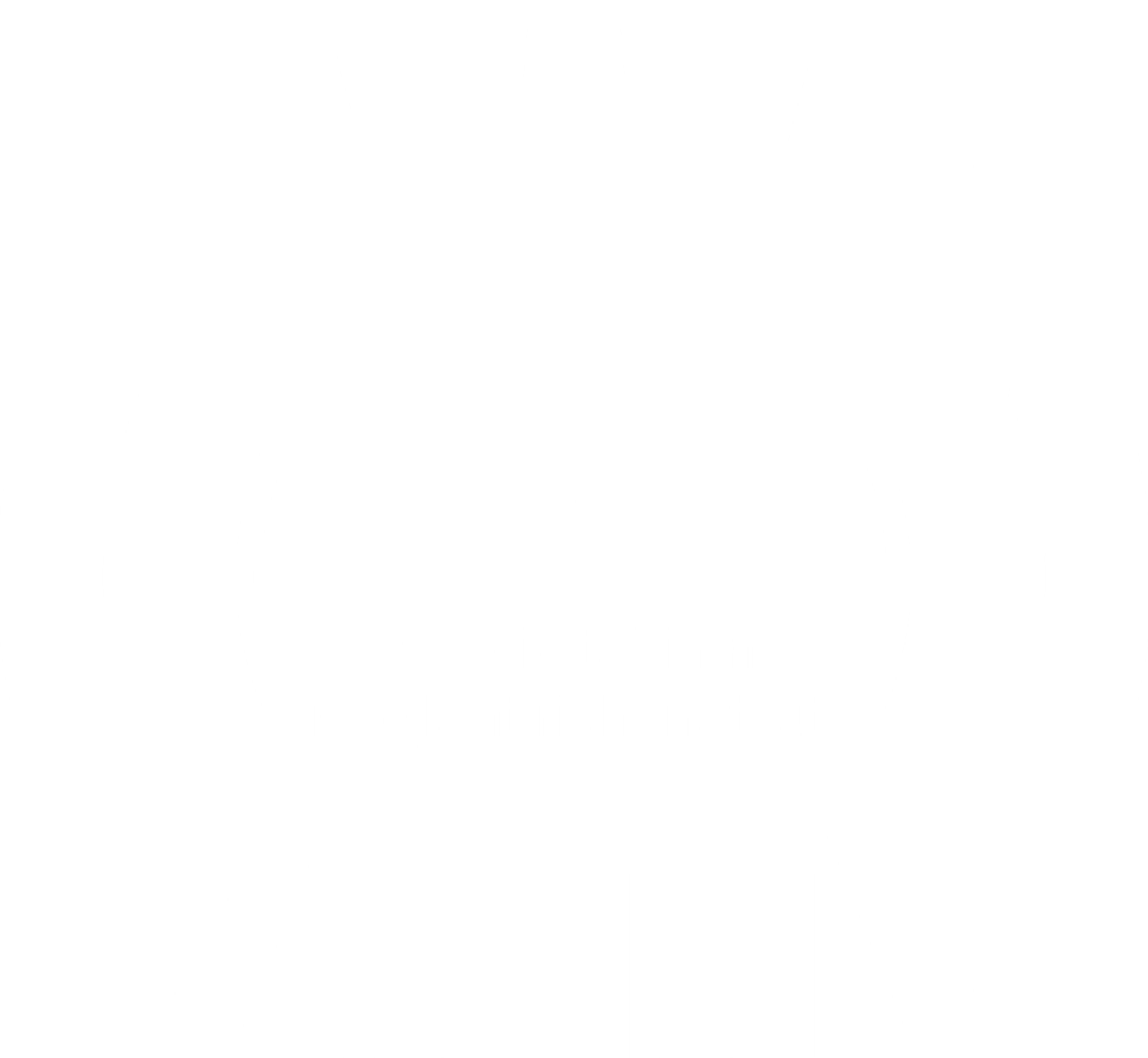 Kasbiy ta'limni rivojlantirish instituti Logotipi